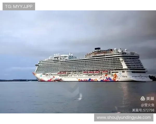 云顶国际官网登录网址正规官方网站入口全景分析与使用技巧