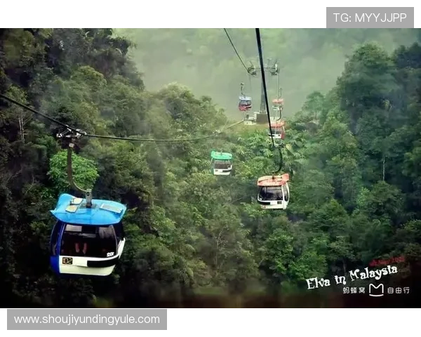 云顶赌场的安全保障措施与玩家权益保护详解