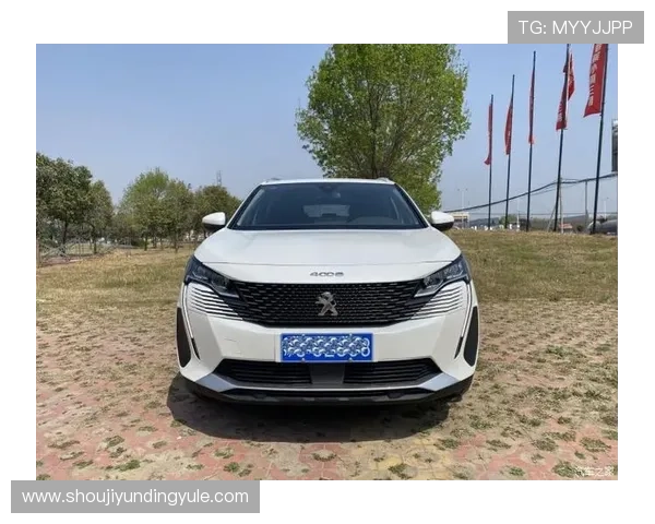 云顶集团4008客户服务体系全方位提升用户体验与满意度